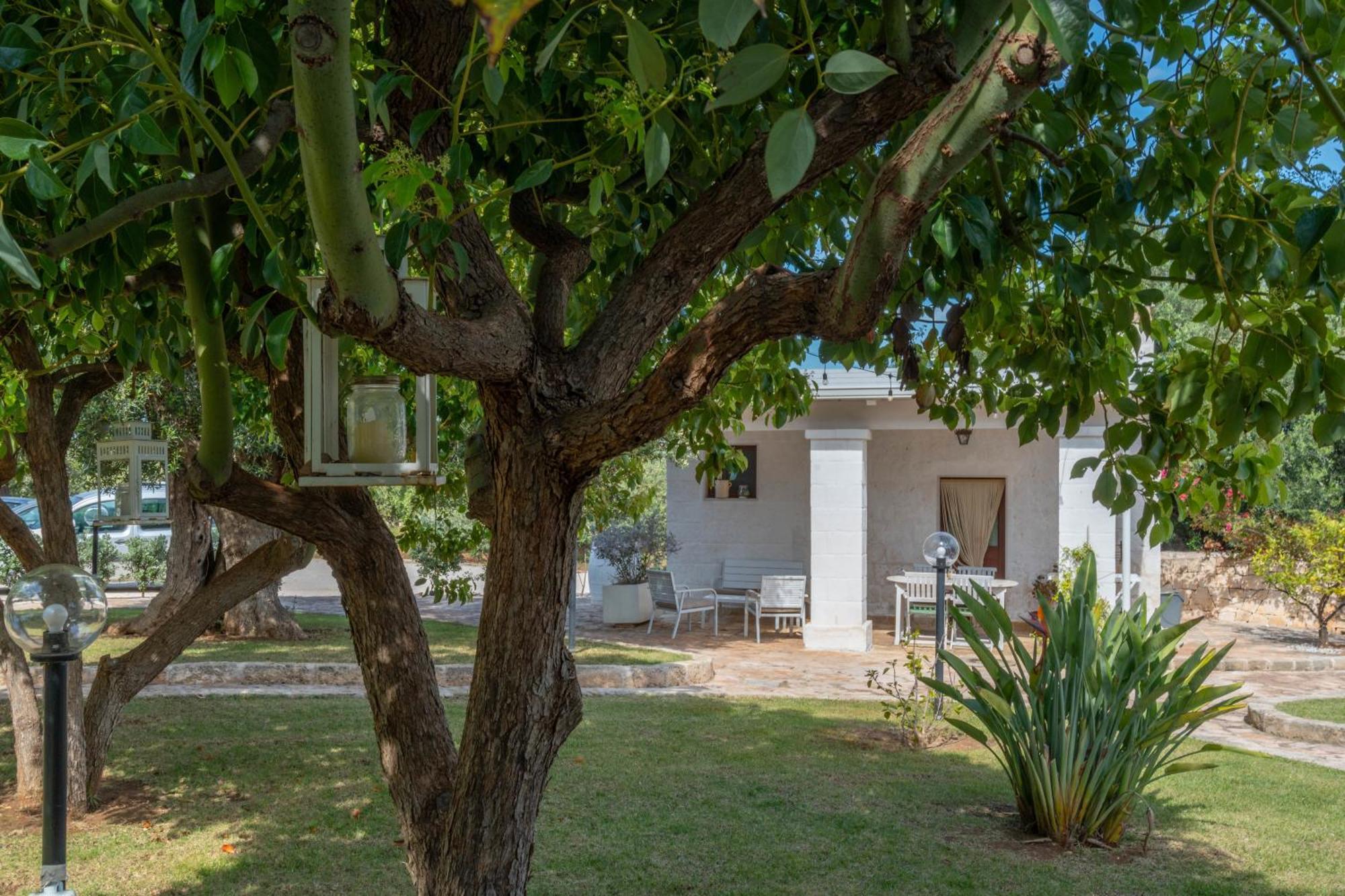 Dimora Tauro B&B Fasano Dış mekan fotoğraf