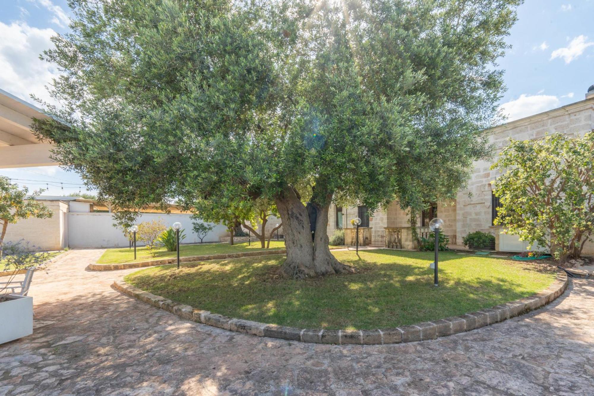 Dimora Tauro B&B Fasano Dış mekan fotoğraf